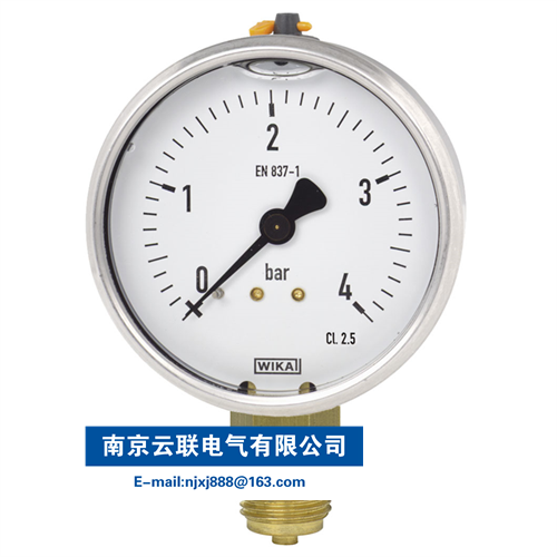 WIKA 113.53 波登管壓力表，銅合金材質(zhì)
